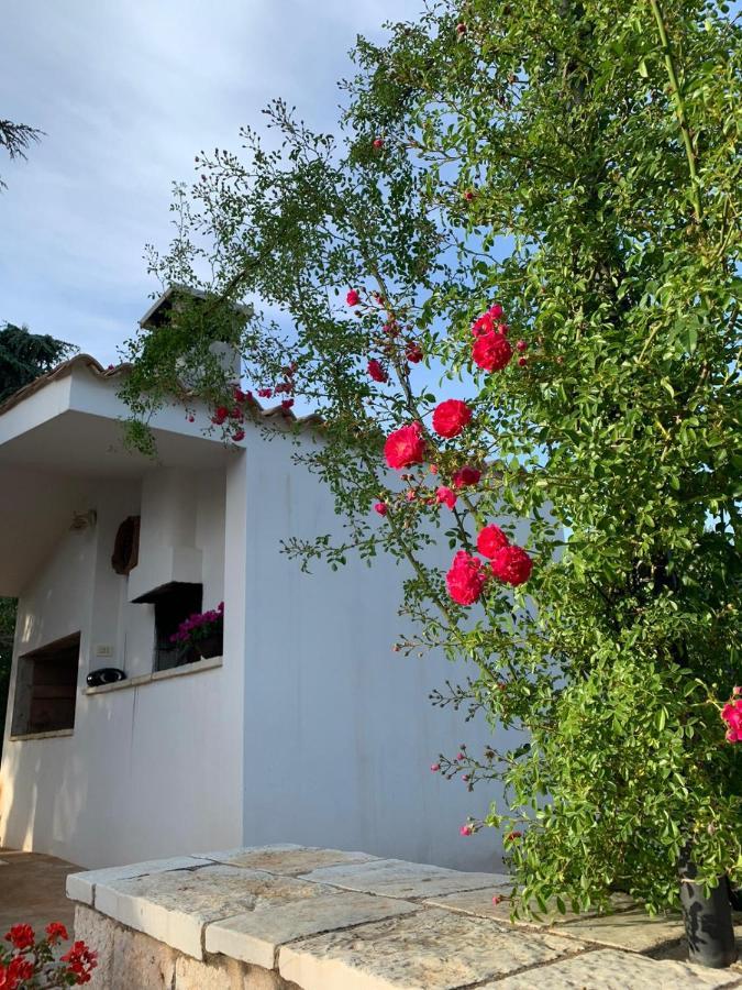 Villa Il Trullo Di Francesca Ceglie Messapica Exterior foto